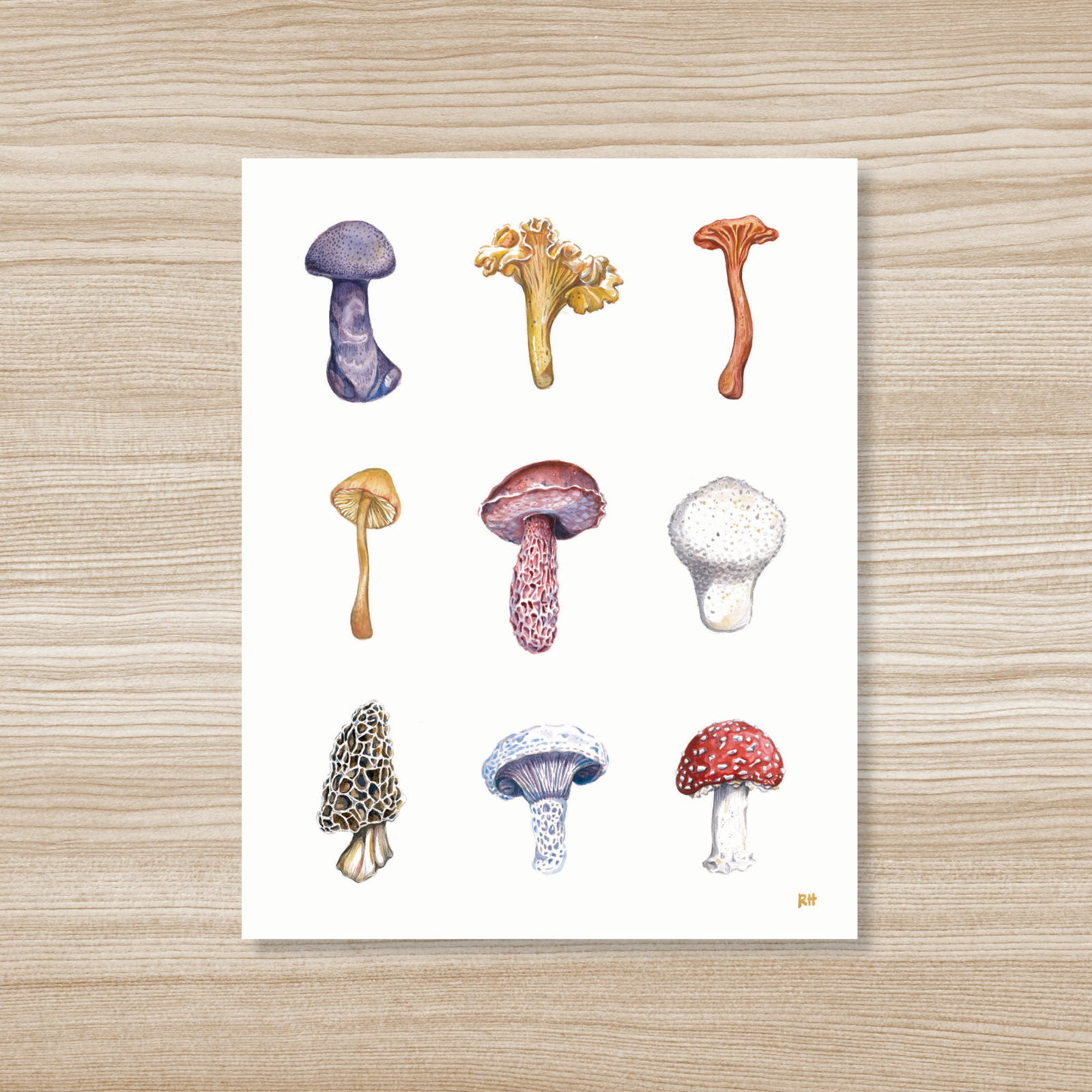 Wild Mushrooms Watercolor Art Print by Rosalie Haizlett