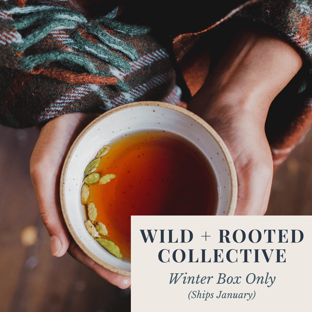Wild + Rooted Collective: Winter Quarterly Box