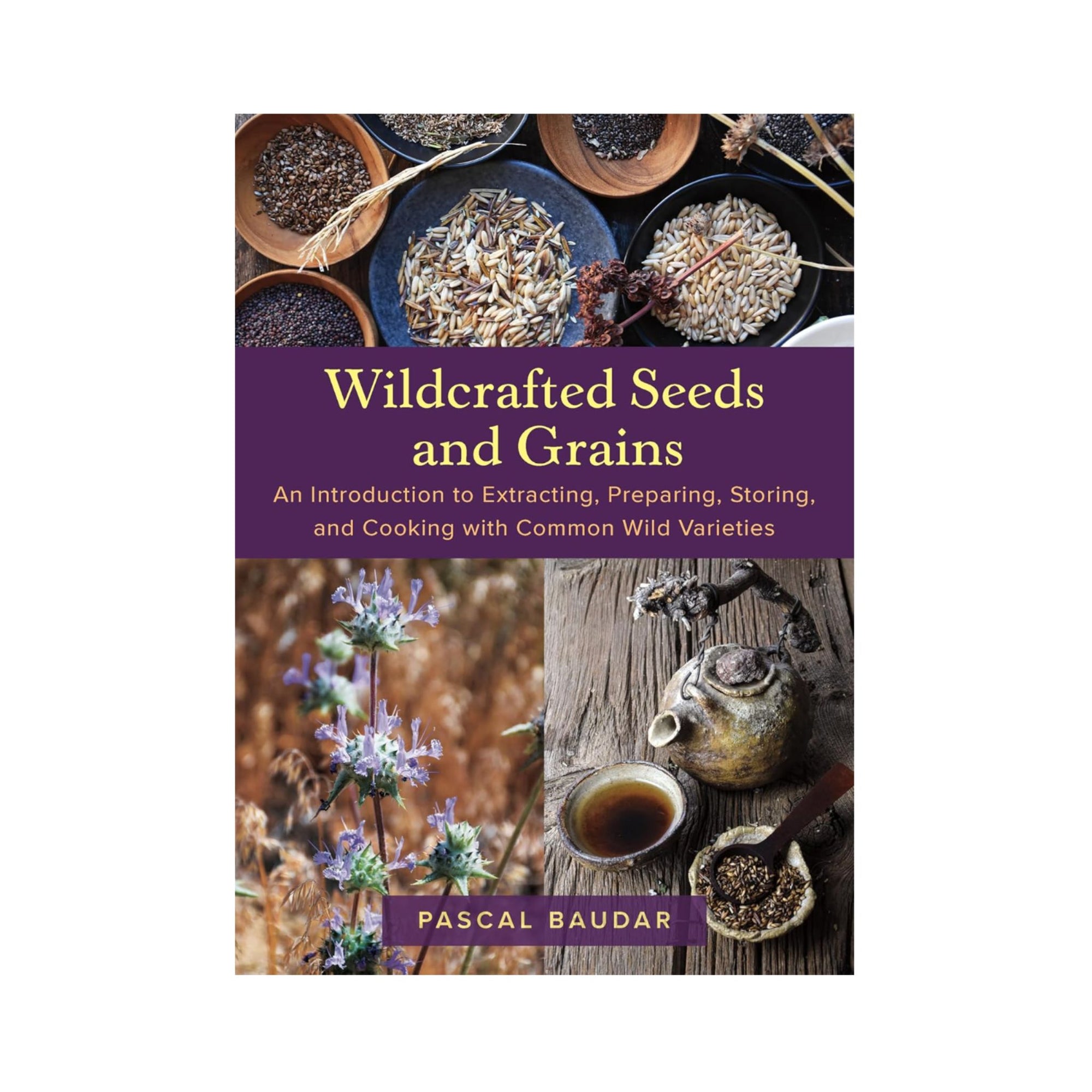 Wildcrafted Seeds and Grains by Pascal Baudar