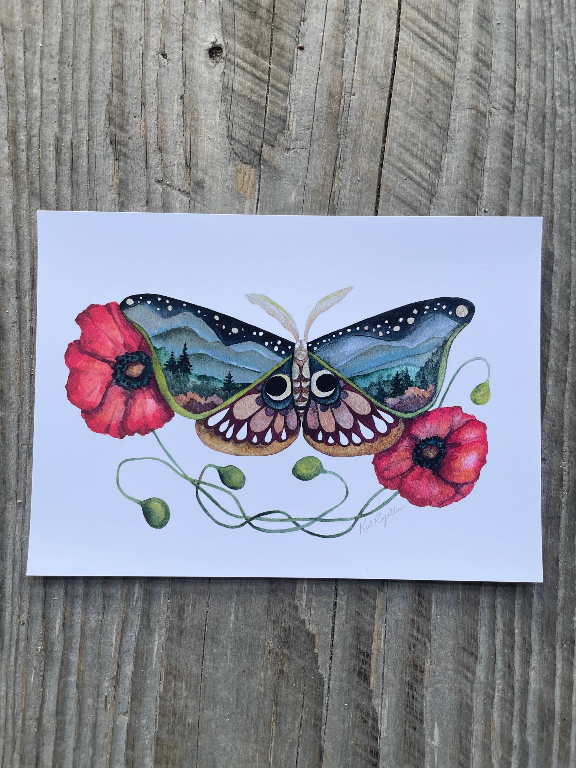 Wings and Poppies Butterfly Print: 11x14"