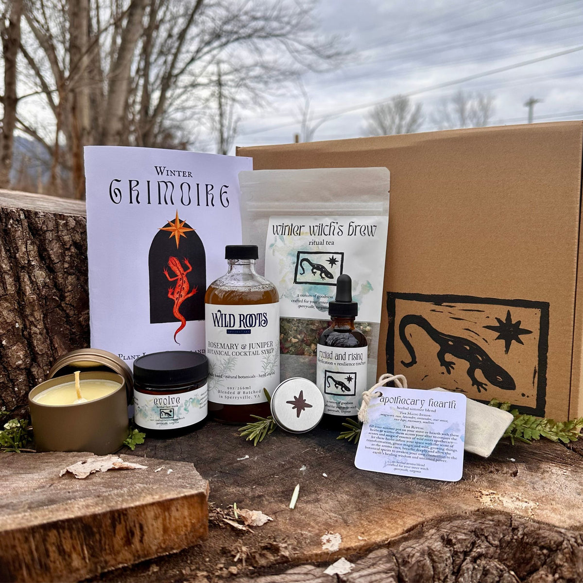 Winter Seasonal Navigator's Toolkit: Rituals, Remedies & Astrological Wisdom