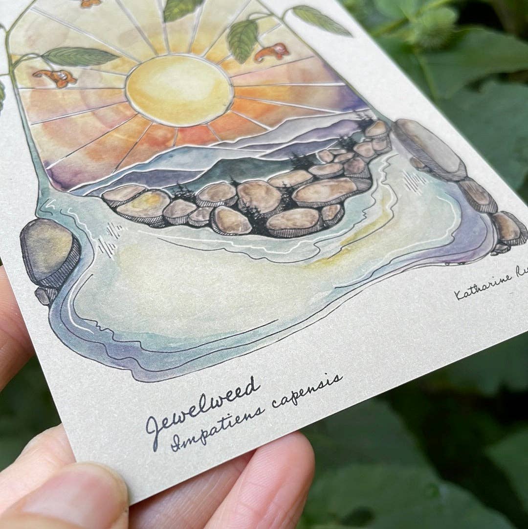 Jewelweed Post Card