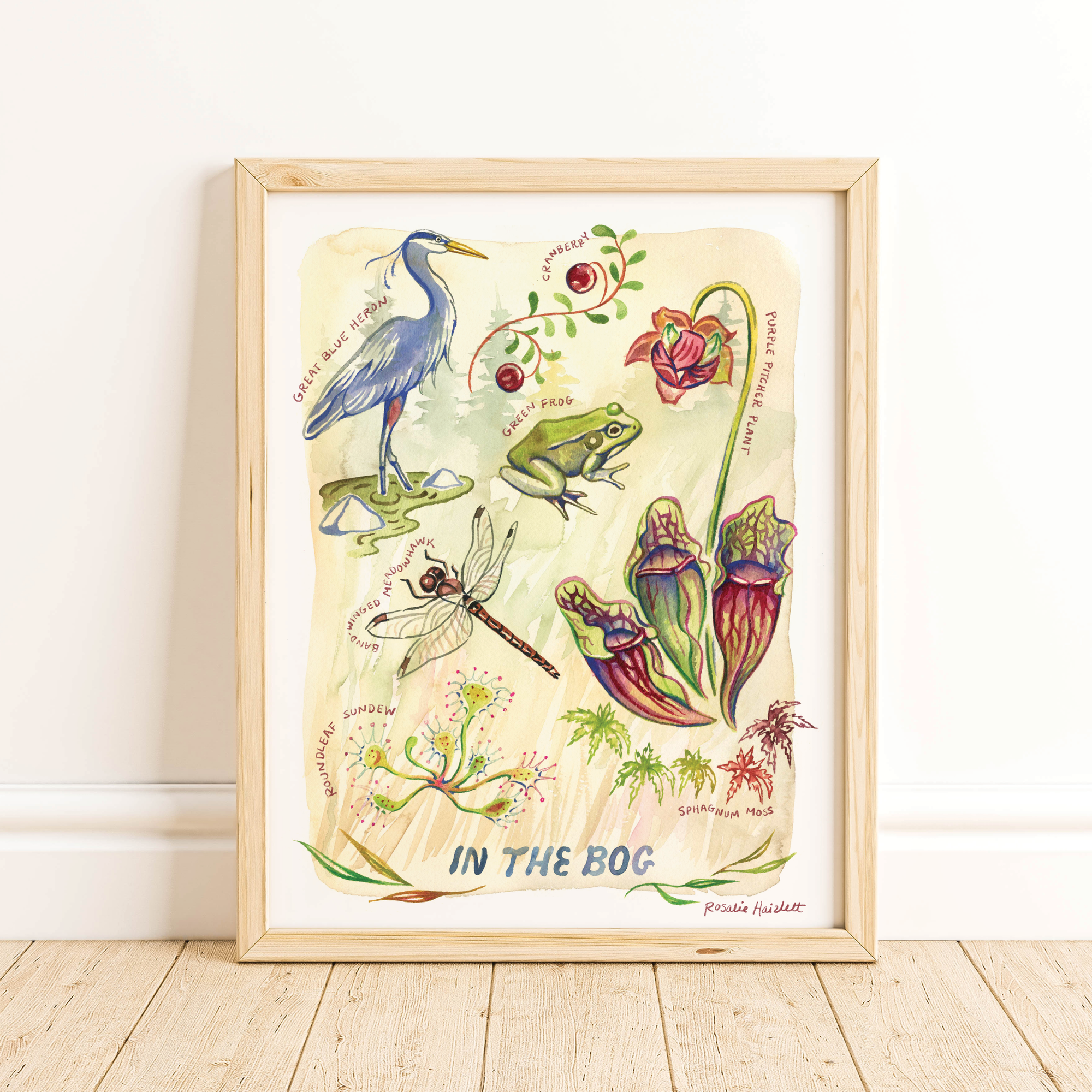 In the Bog - Watercolor Art Print
