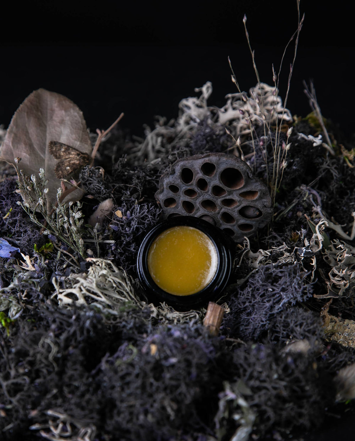 MOON MOSS Solid Perfume