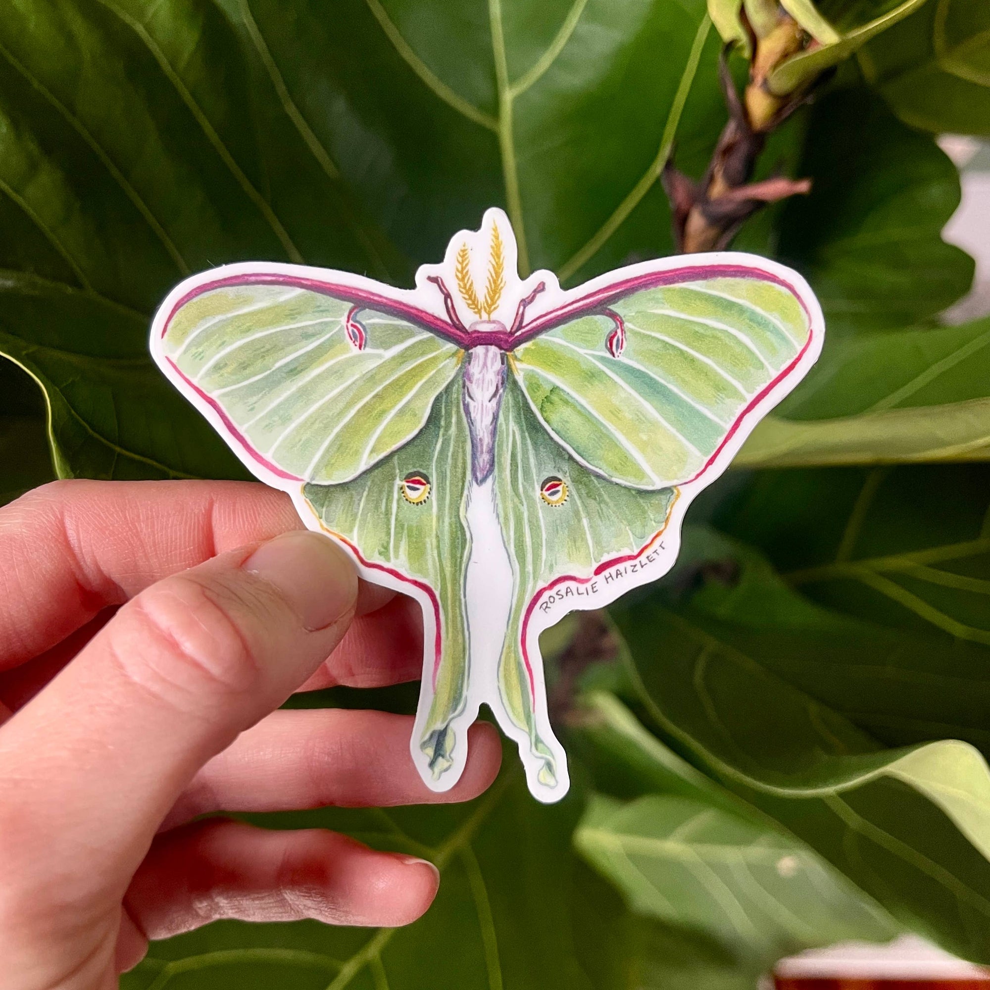 Luna Moth Waterproof Vinyl Sticker