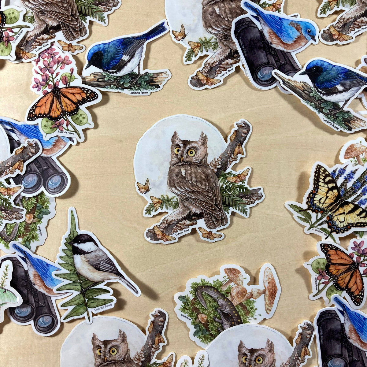 Screech Owl With Moths - Vinyl Sticker