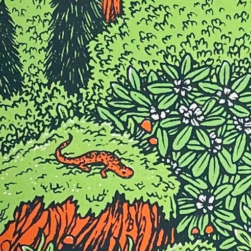 Appalachian Wilderness Print by Logan Schmitt (11" x 14")