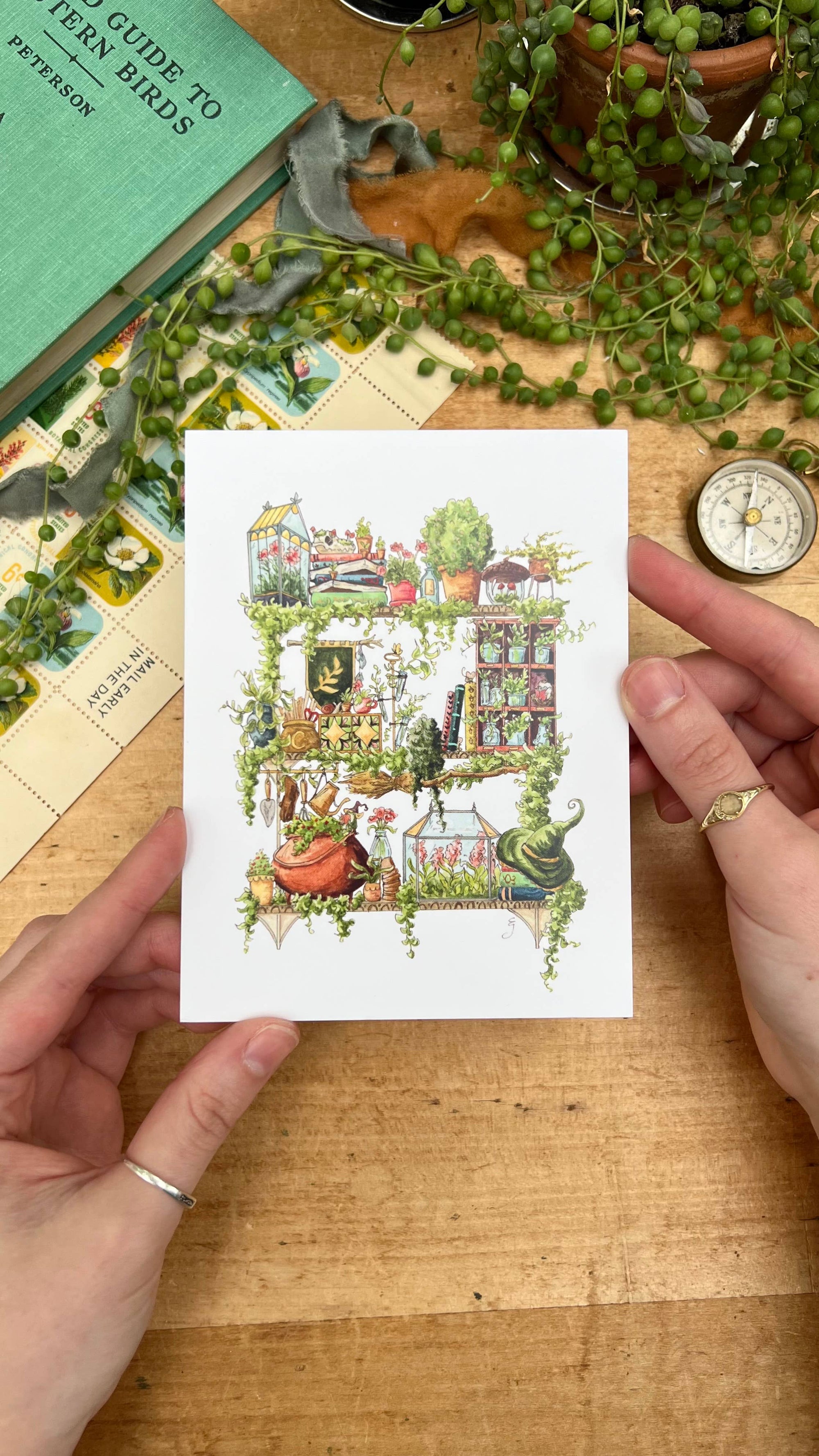 The Garden Witch's Shelves Postcard