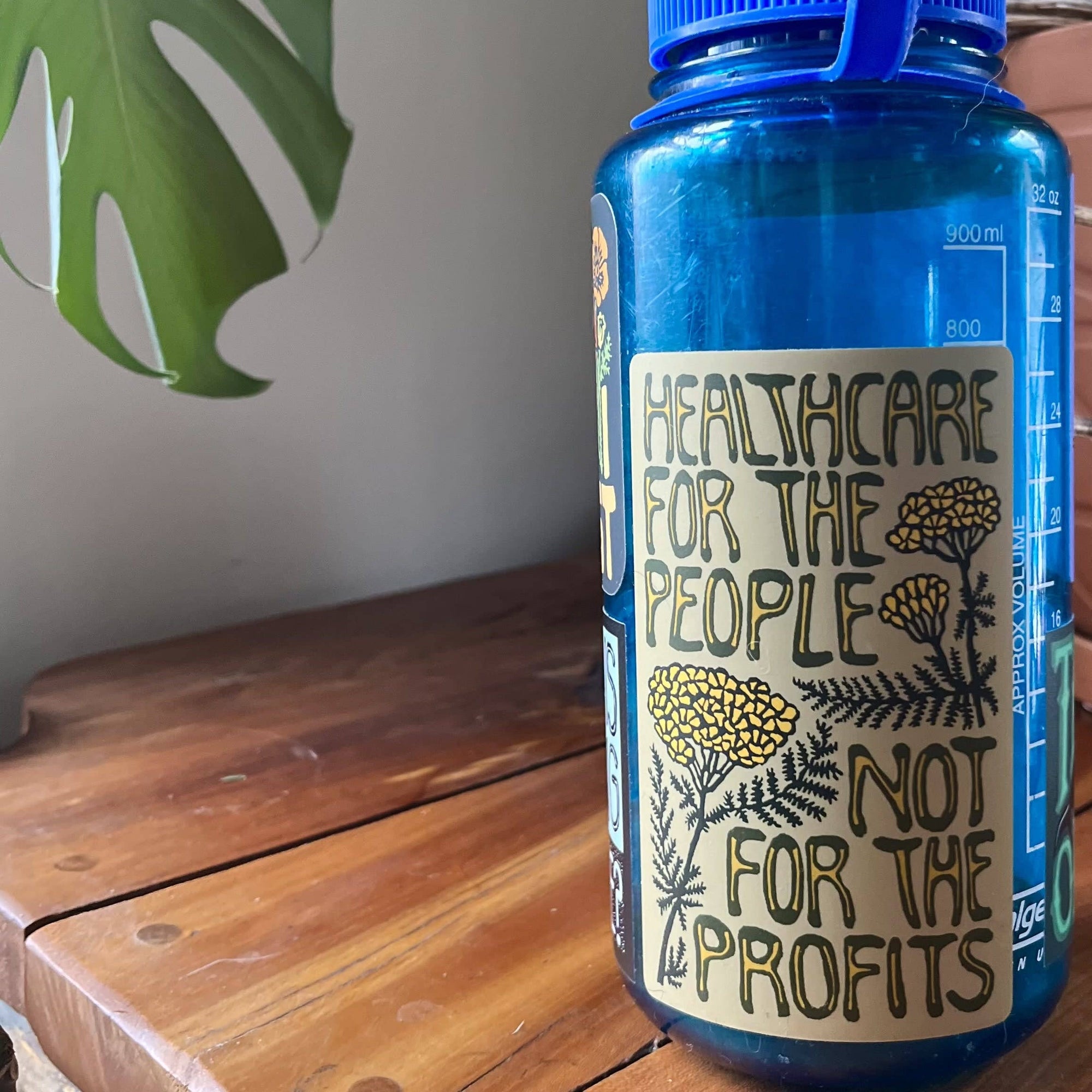 Healthcare for the People not Profit Vinyl Sticker