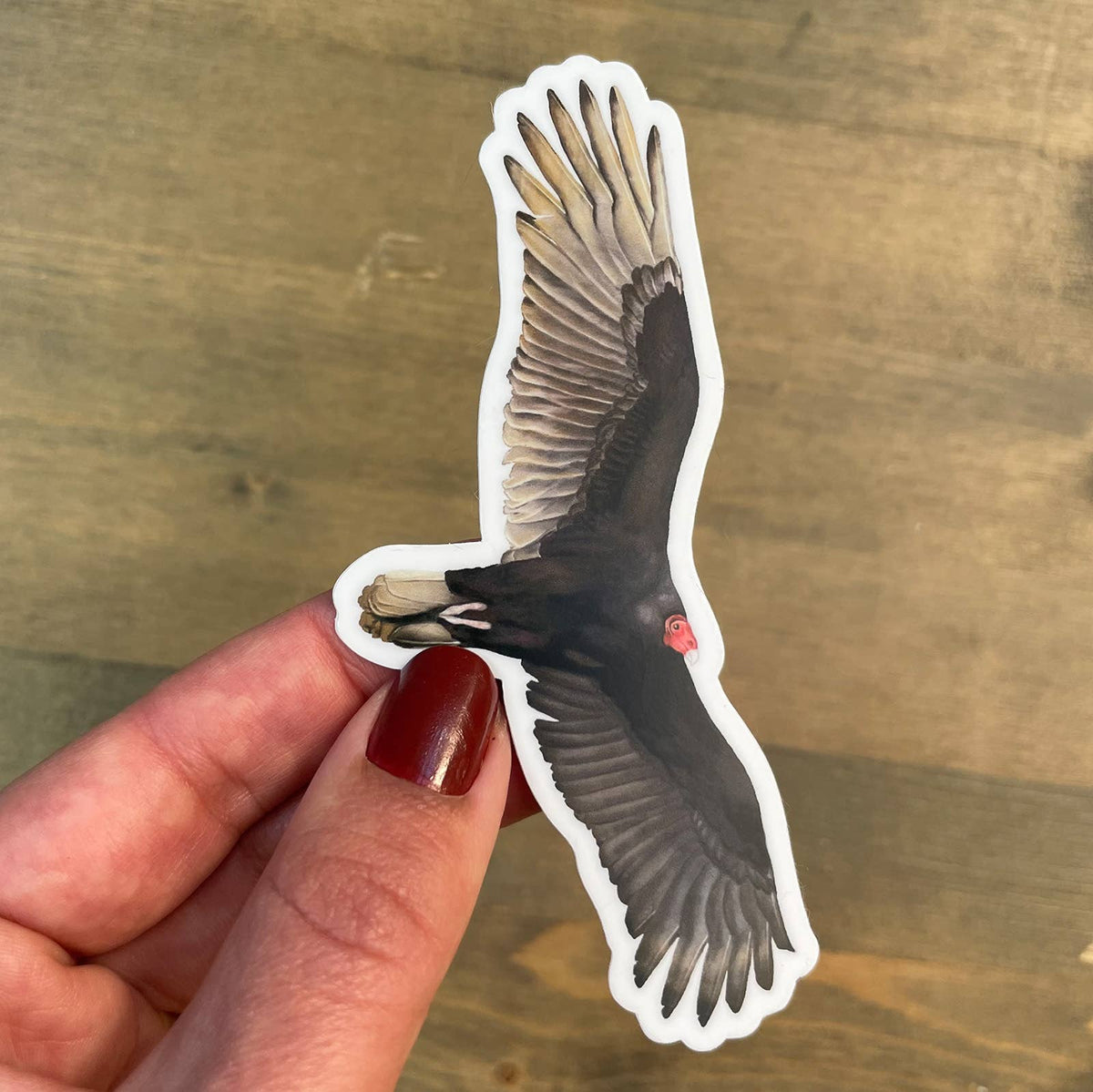 Soaring Turkey Vulture Sticker