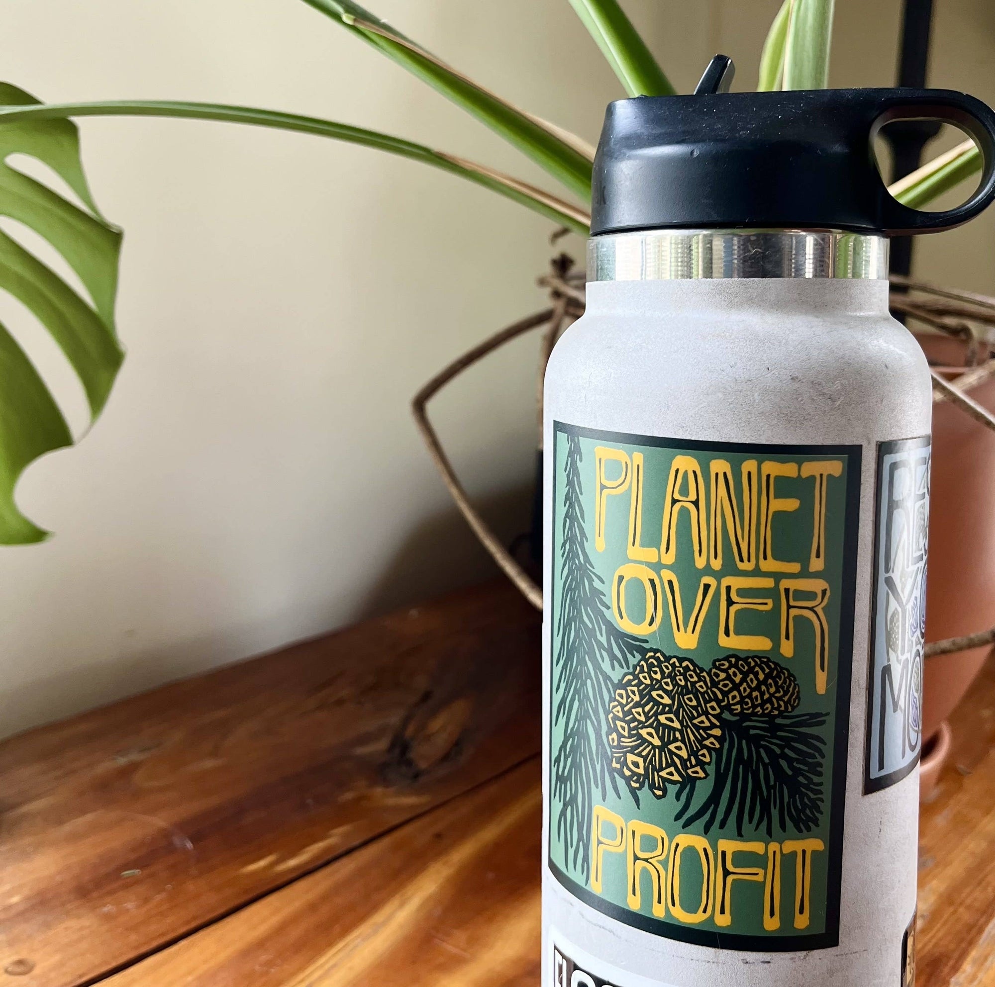 Planet Over Profit Vinyl Sticker