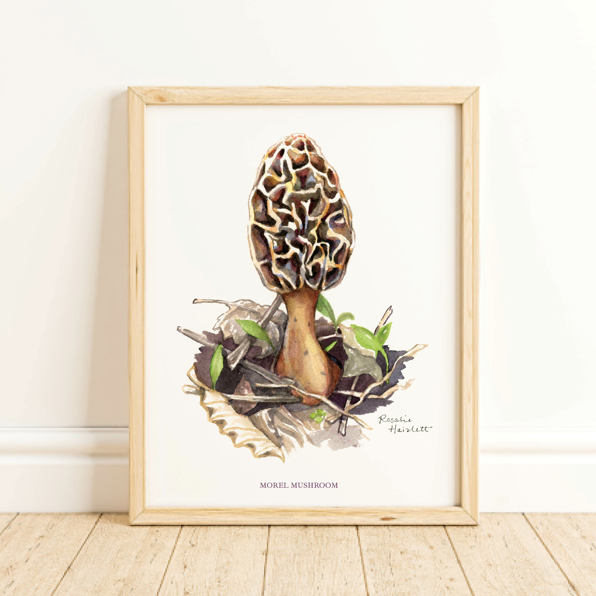 Morel Mushroom Watercolor Art Print