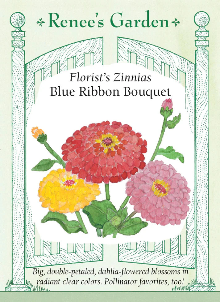 Blue Ribbon Bouquet Zinnia
