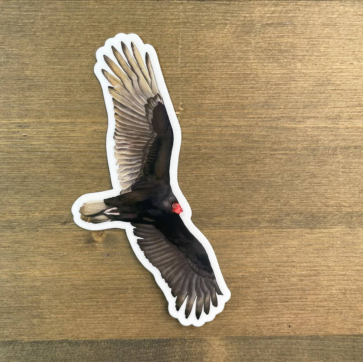 Soaring Turkey Vulture Sticker