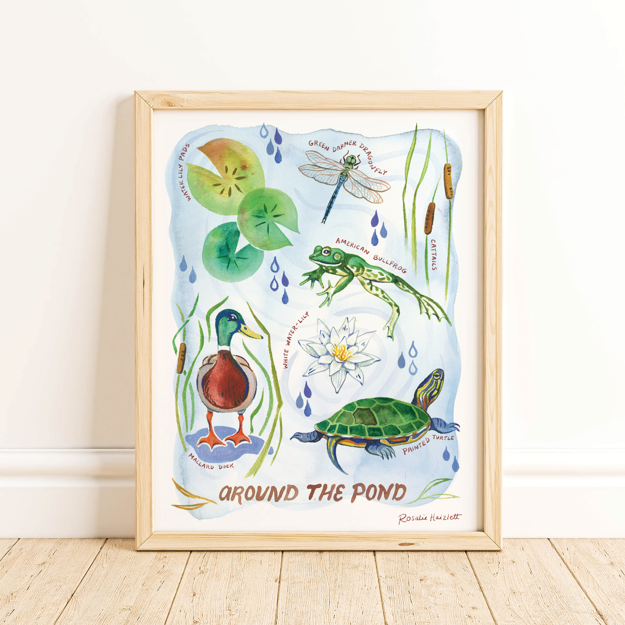 Around the Pond - Watercolor Art Print
