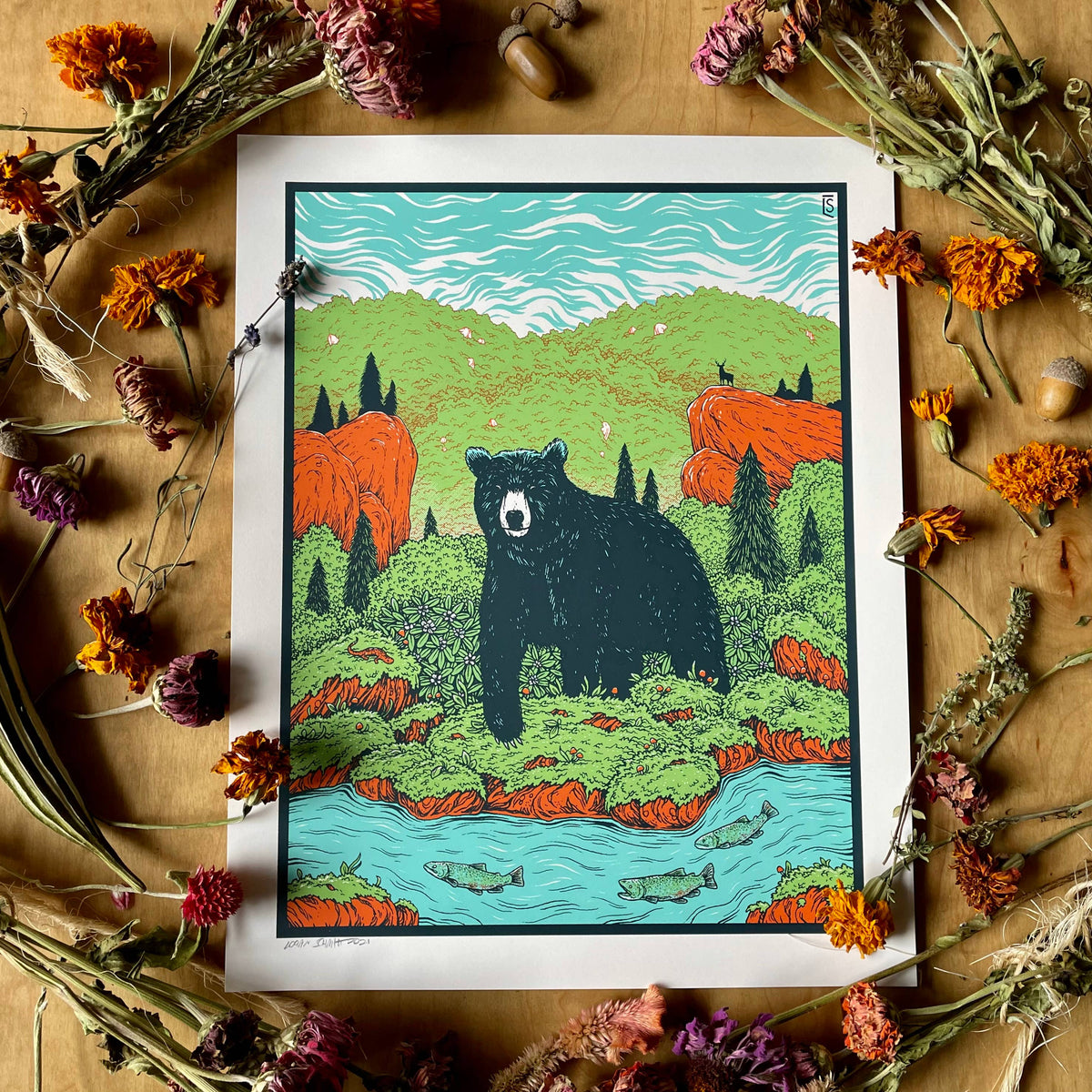 Appalachian Wilderness Print by Logan Schmitt (11" x 14")