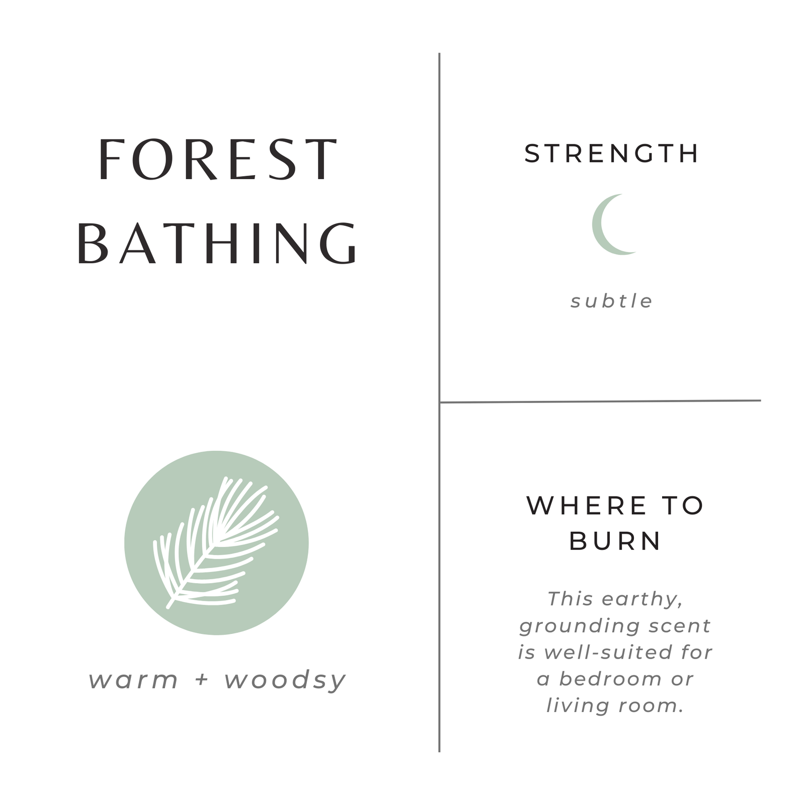 Forest Bathing: Mini Soy Candles - 2 oz