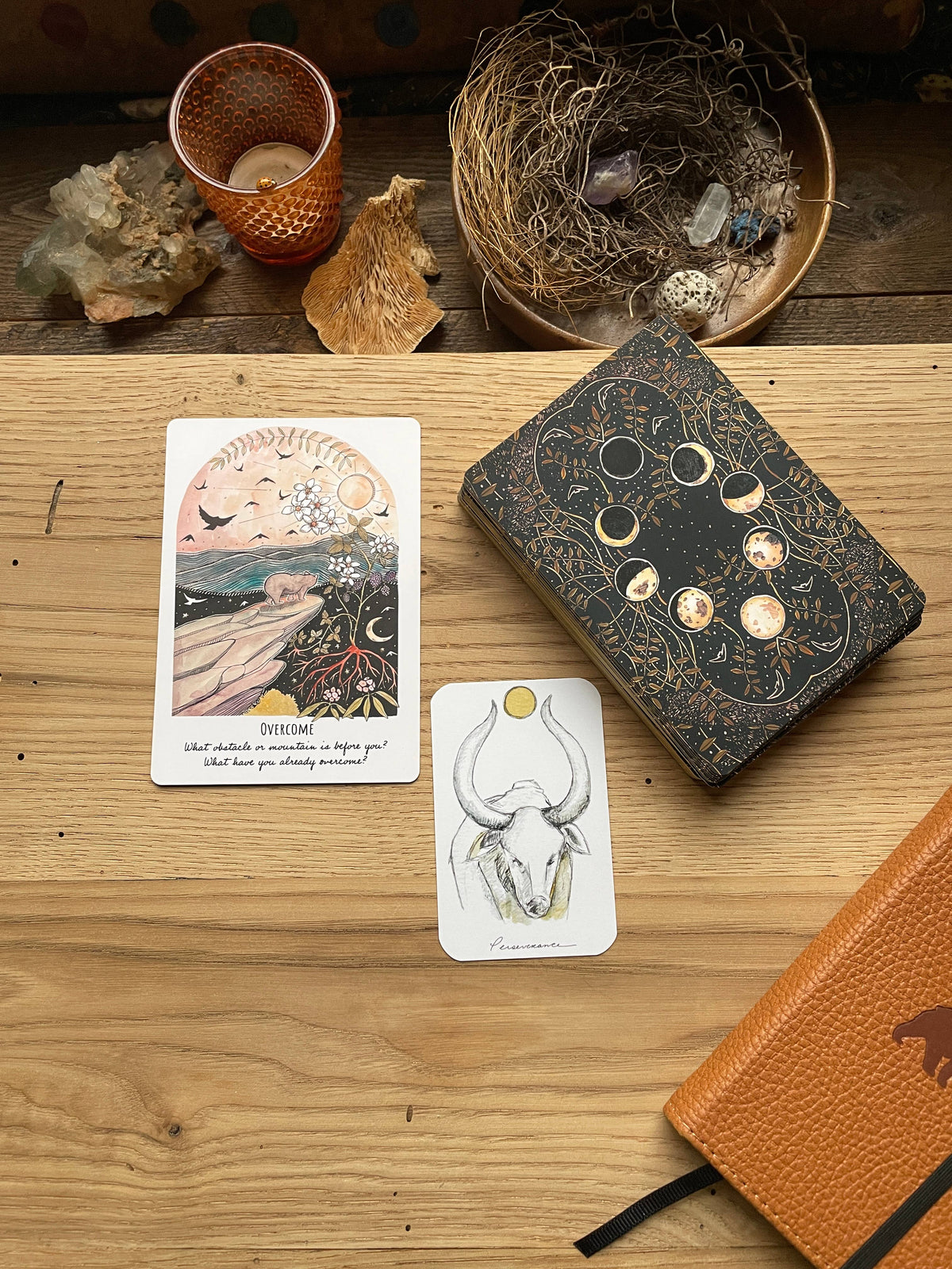 Phases and Forests Oracle Deck