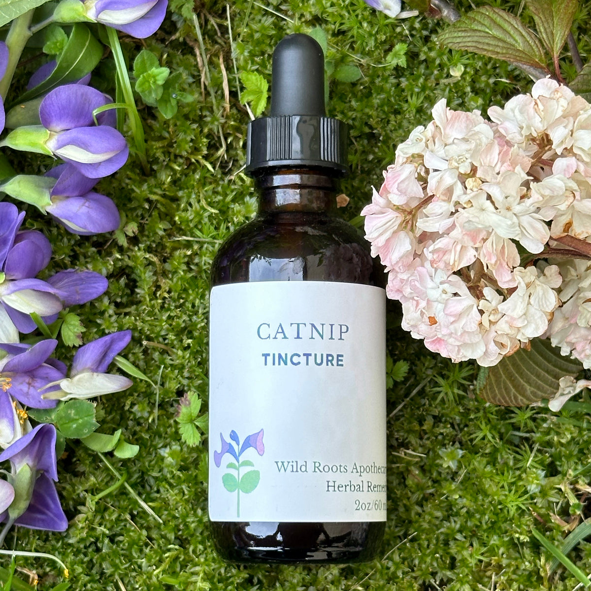 Catnip Tincture