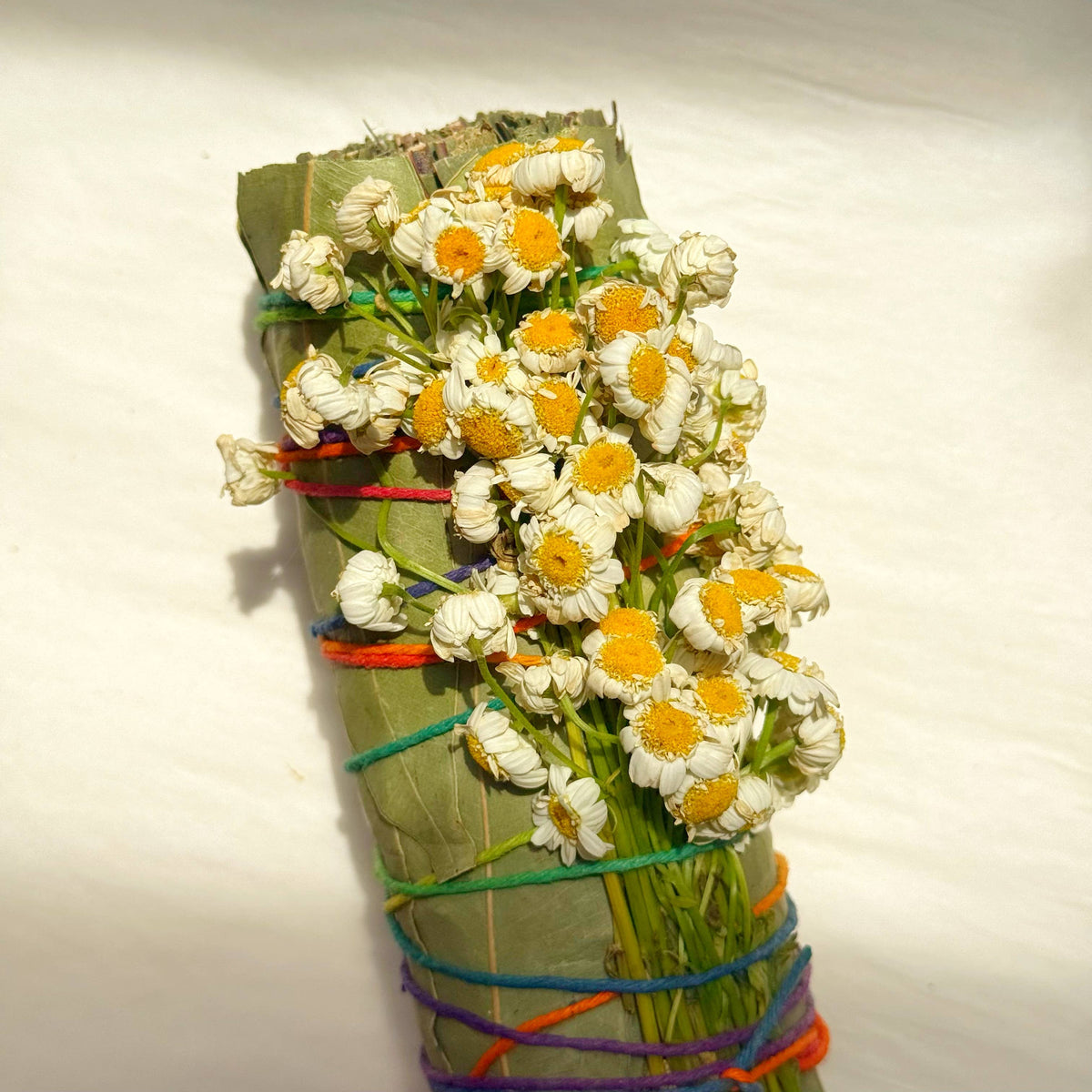 Large Eucalyptus and Chamomile Bundle