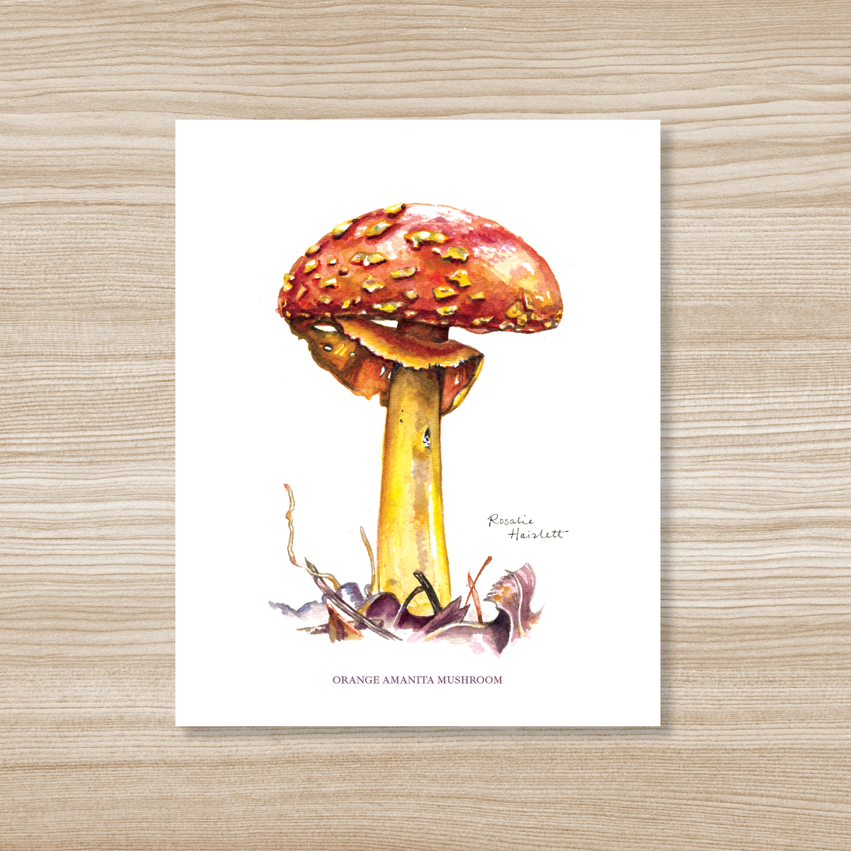 Orange Amanita Mushroom - Watercolor Art Print