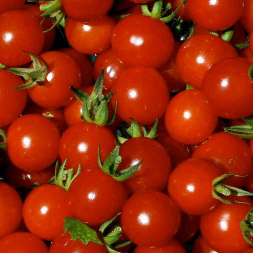 Cherry Sweetie Tomato Seeds