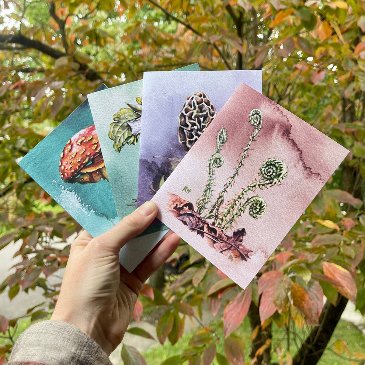 Forest Treasures  - Set of 4 Assorted Greeting Cards