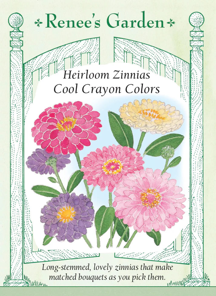 Cool Crayon Colors Zinnia