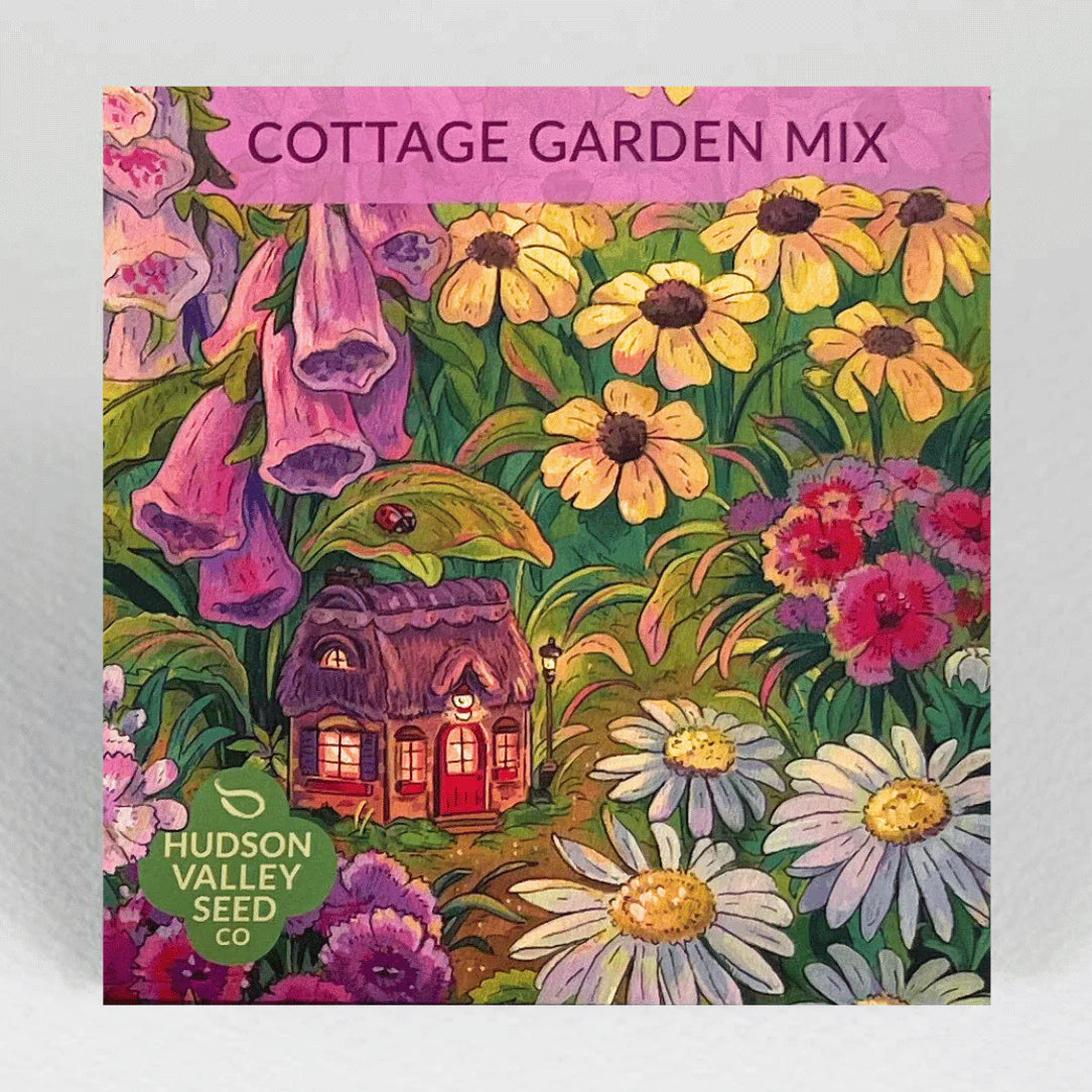 Cottage Garden Seed Mix