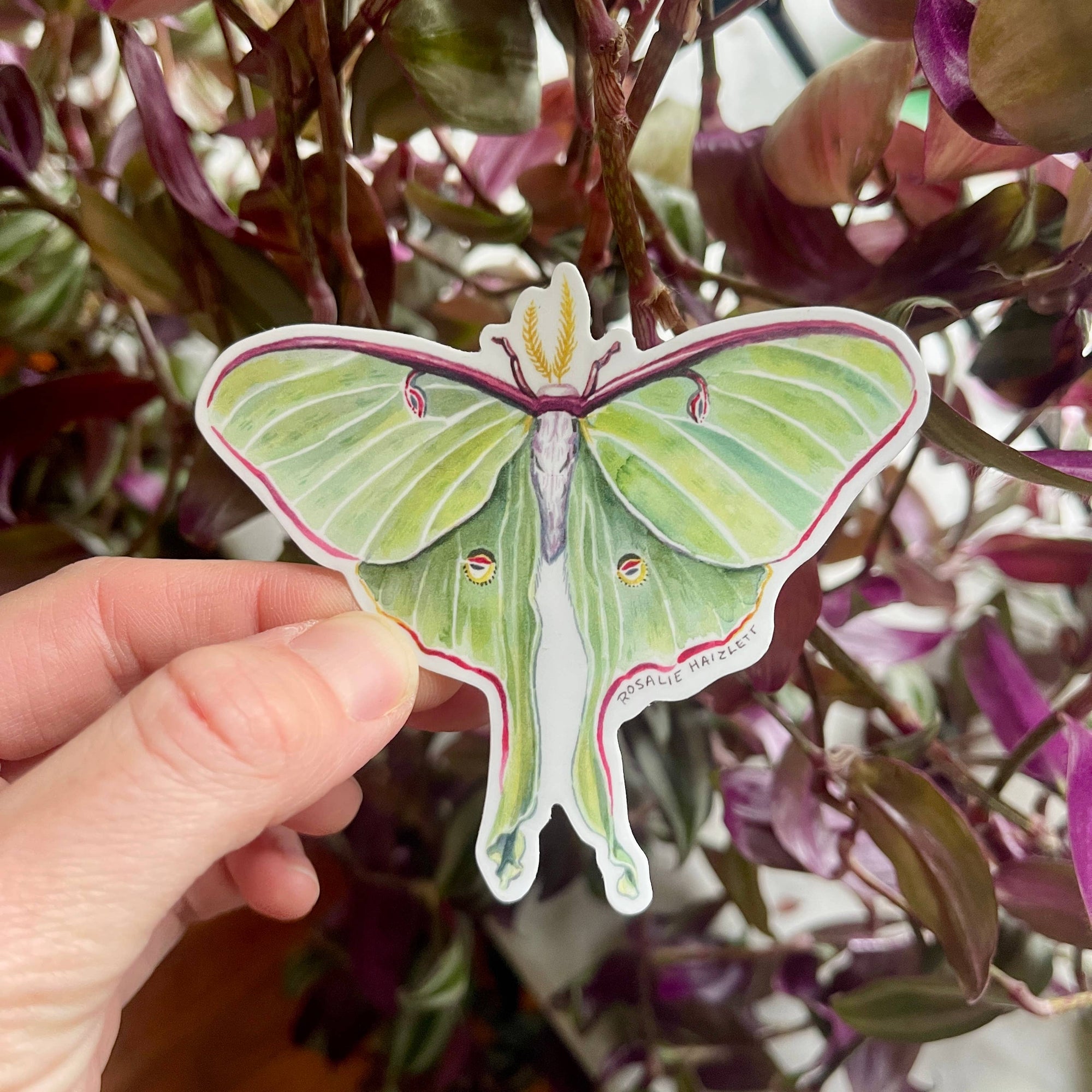 Luna Moth Waterproof Vinyl Sticker