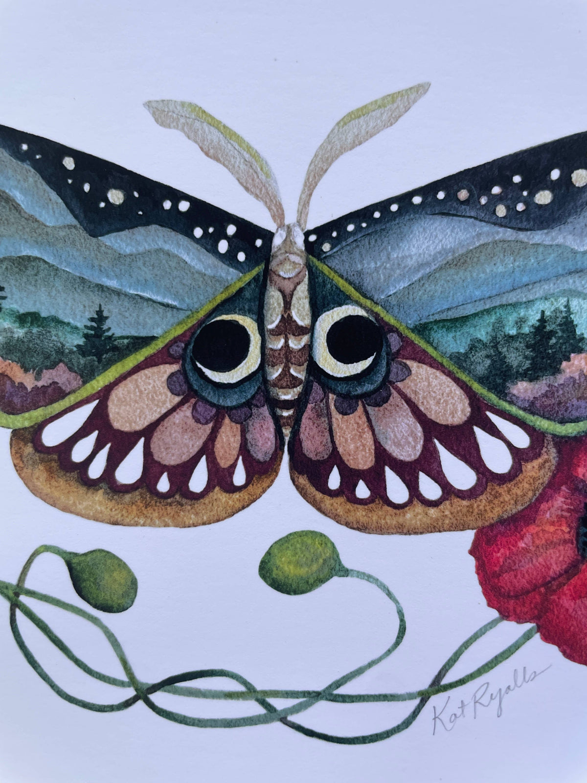 Wings and Poppies Butterfly Print: 11x14&quot;