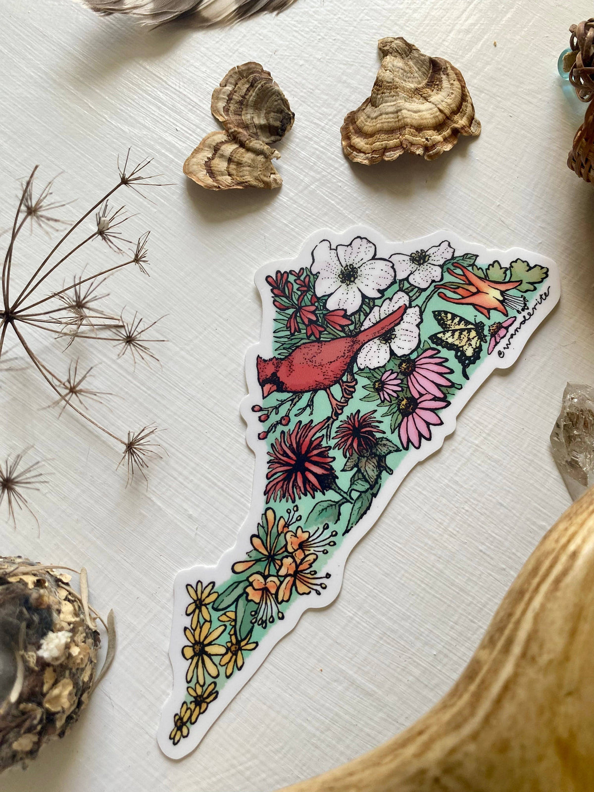 Virginia Native Plants Sticker