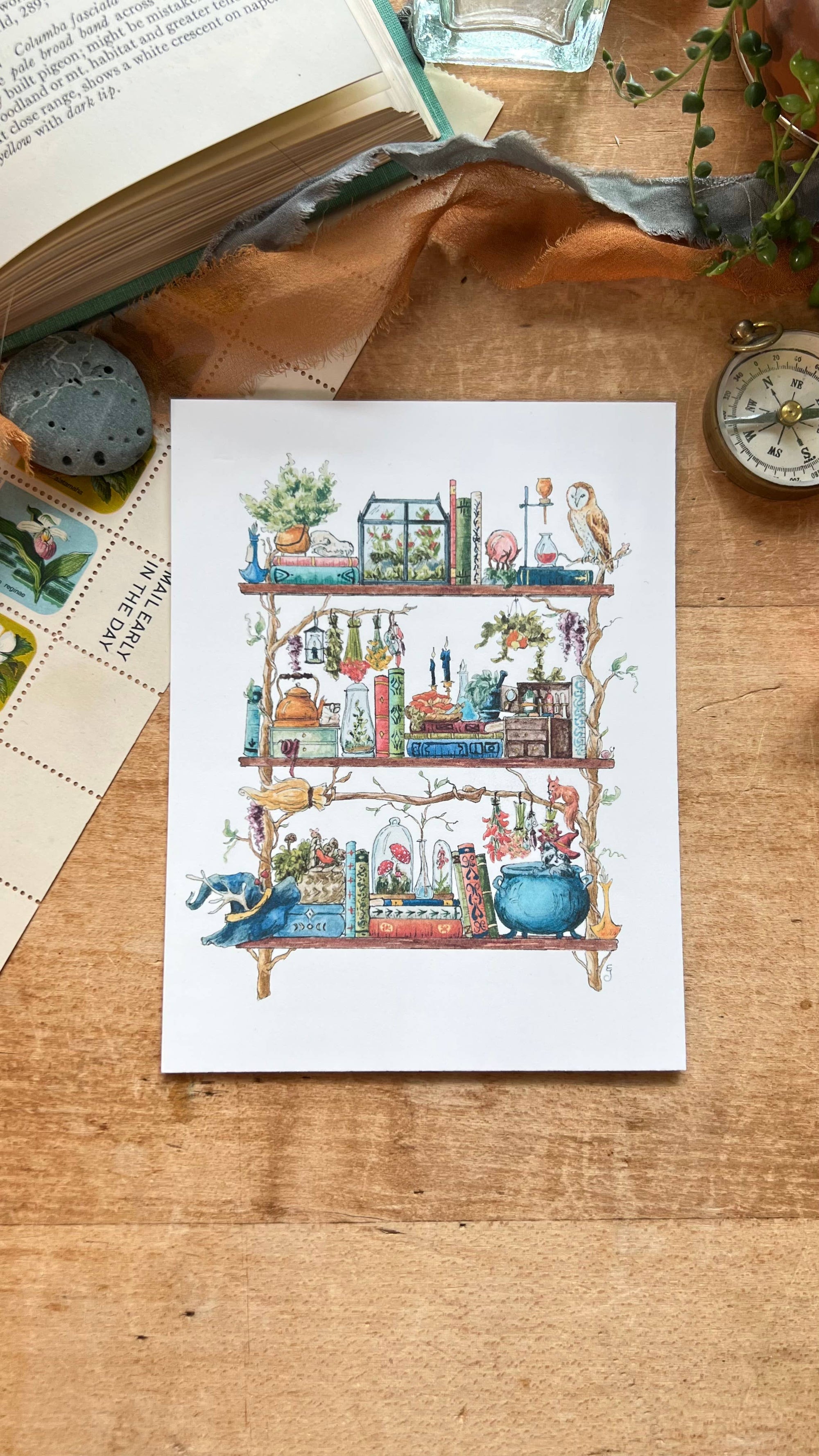 The Forest Witch's Shelves Postcard