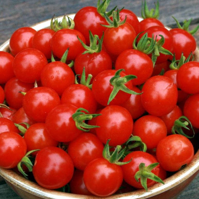 Cherry Sweetie Tomato Seeds