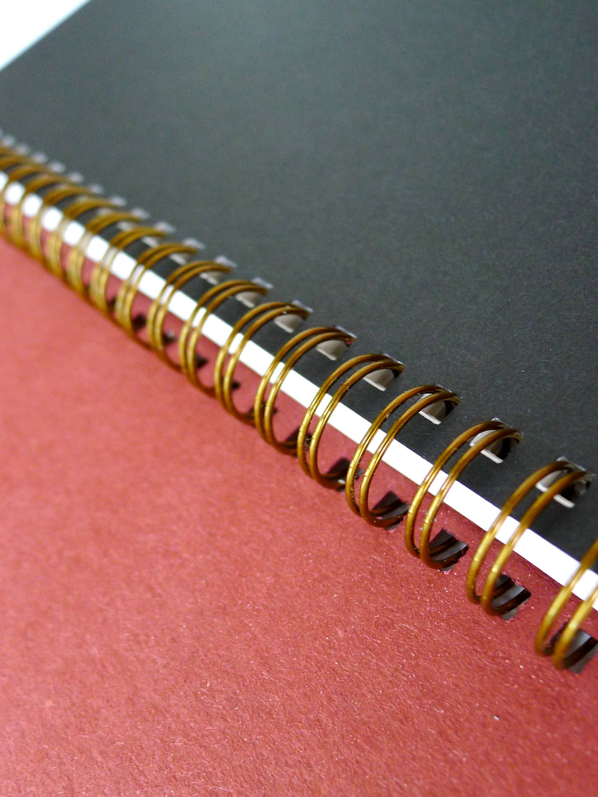 Bird Notebook by Middle Dune