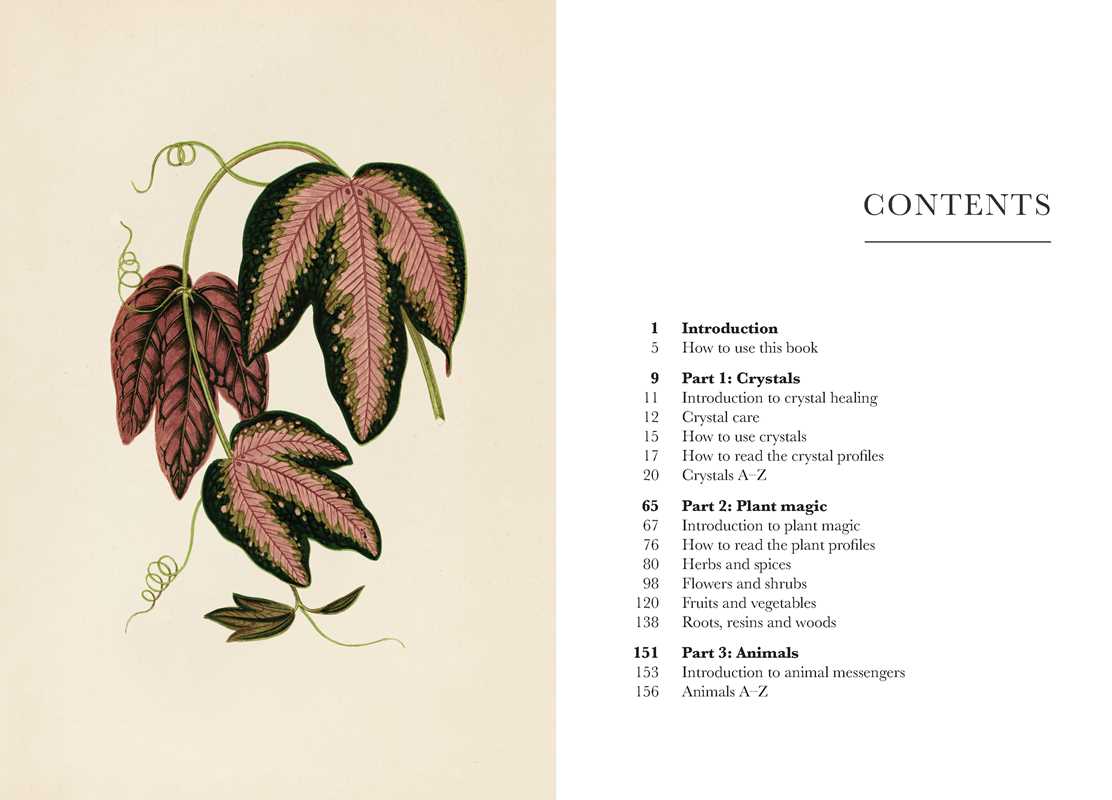 A Practical Guide to Magic in Nature