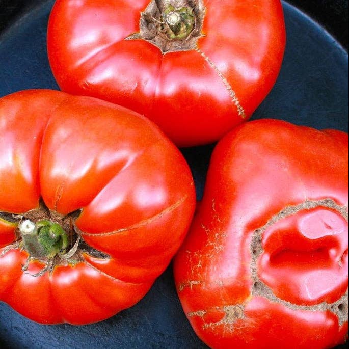Pink Brandywine Tomato Seeds