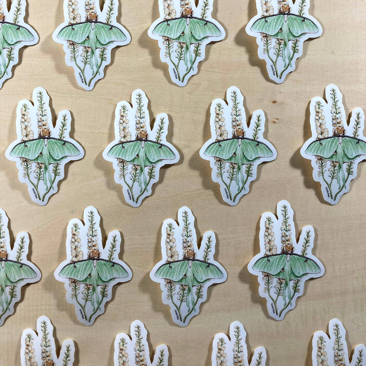 Luna Moth On Black Cohosh - Vinyl Sticker