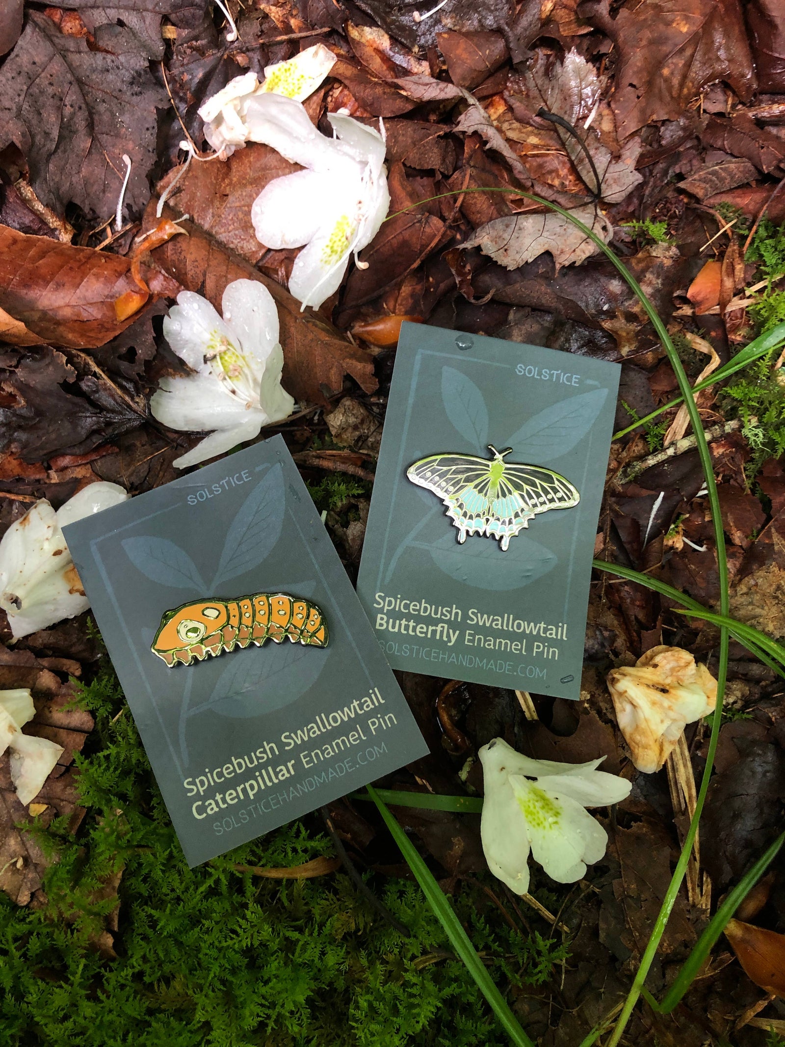 Spicebush Swallowtail Butterfly Enamel Pin