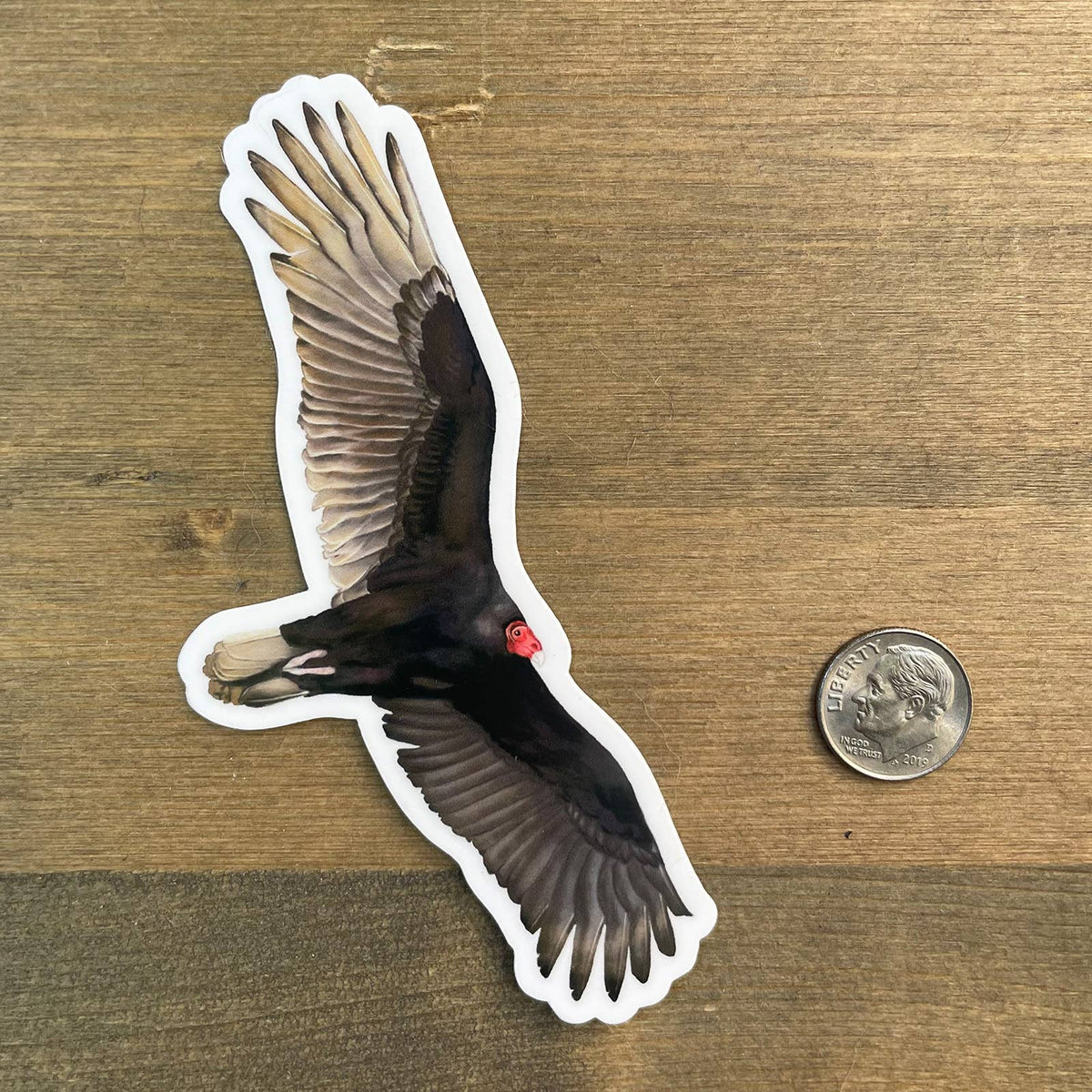 Soaring Turkey Vulture Sticker