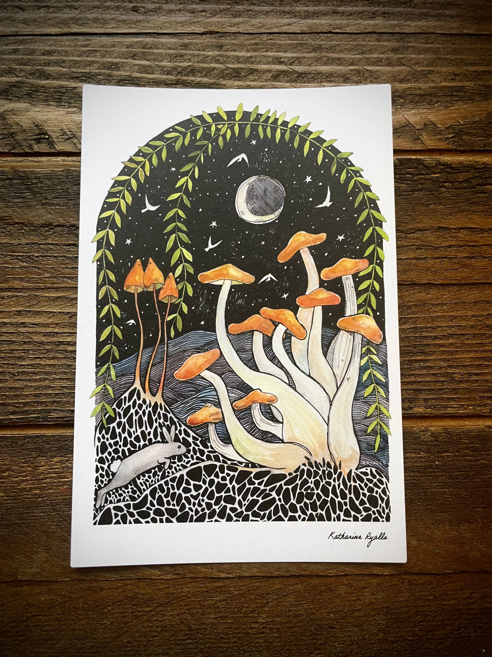 Honey Mushrooms Postcard