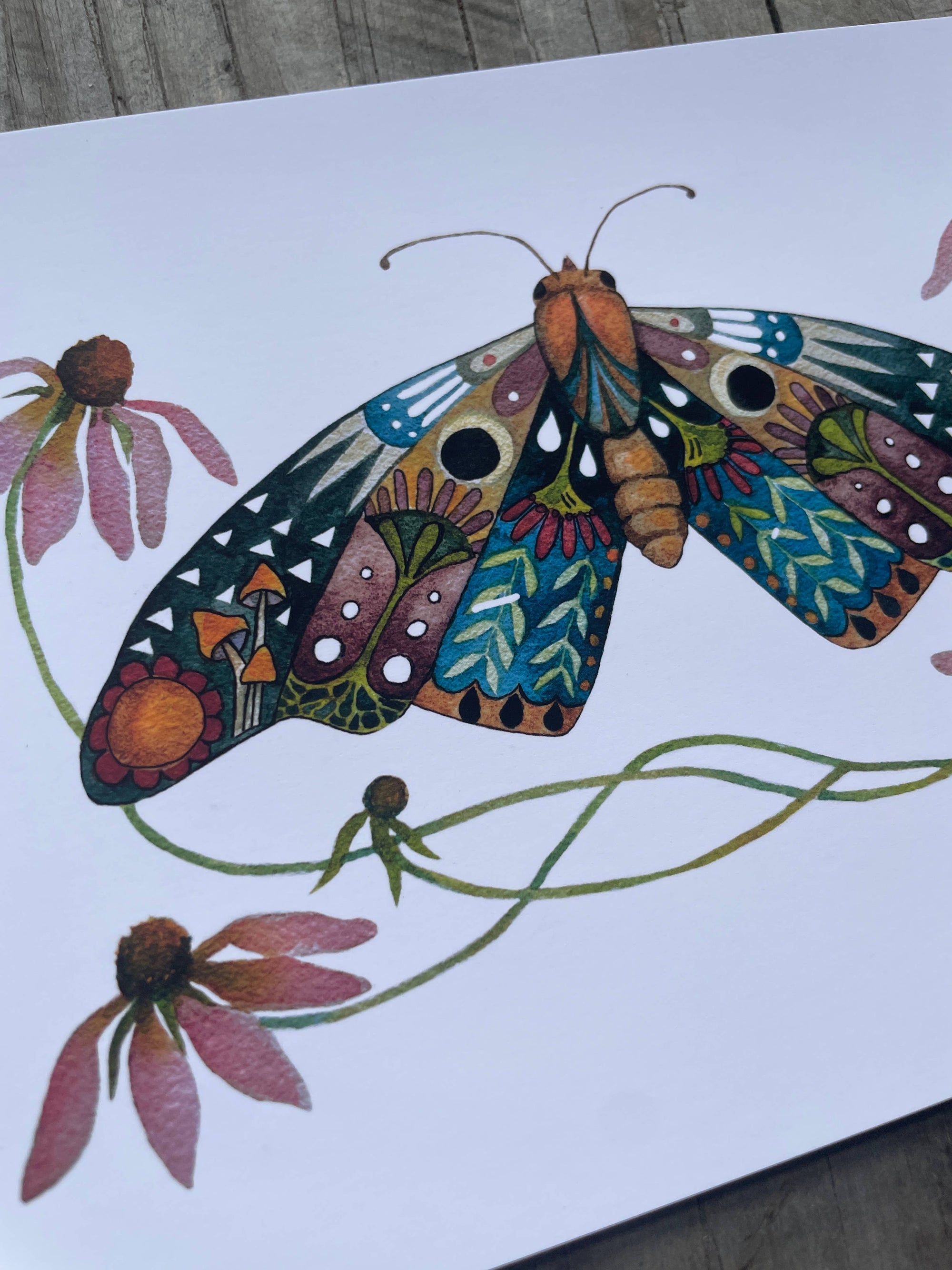 Wings and Blooms Moth Art Print