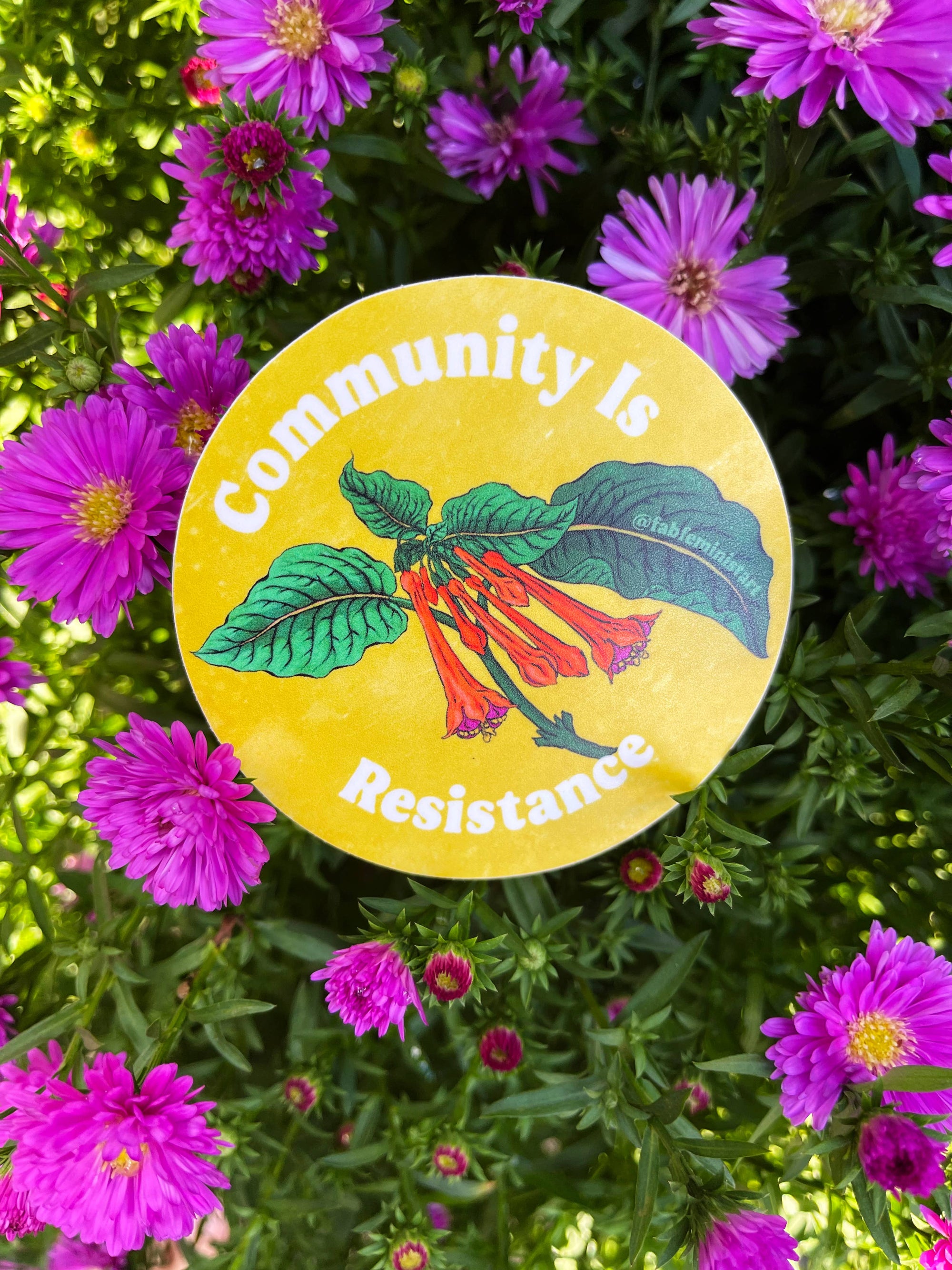 Community Is Resistance: Feminist Sticker