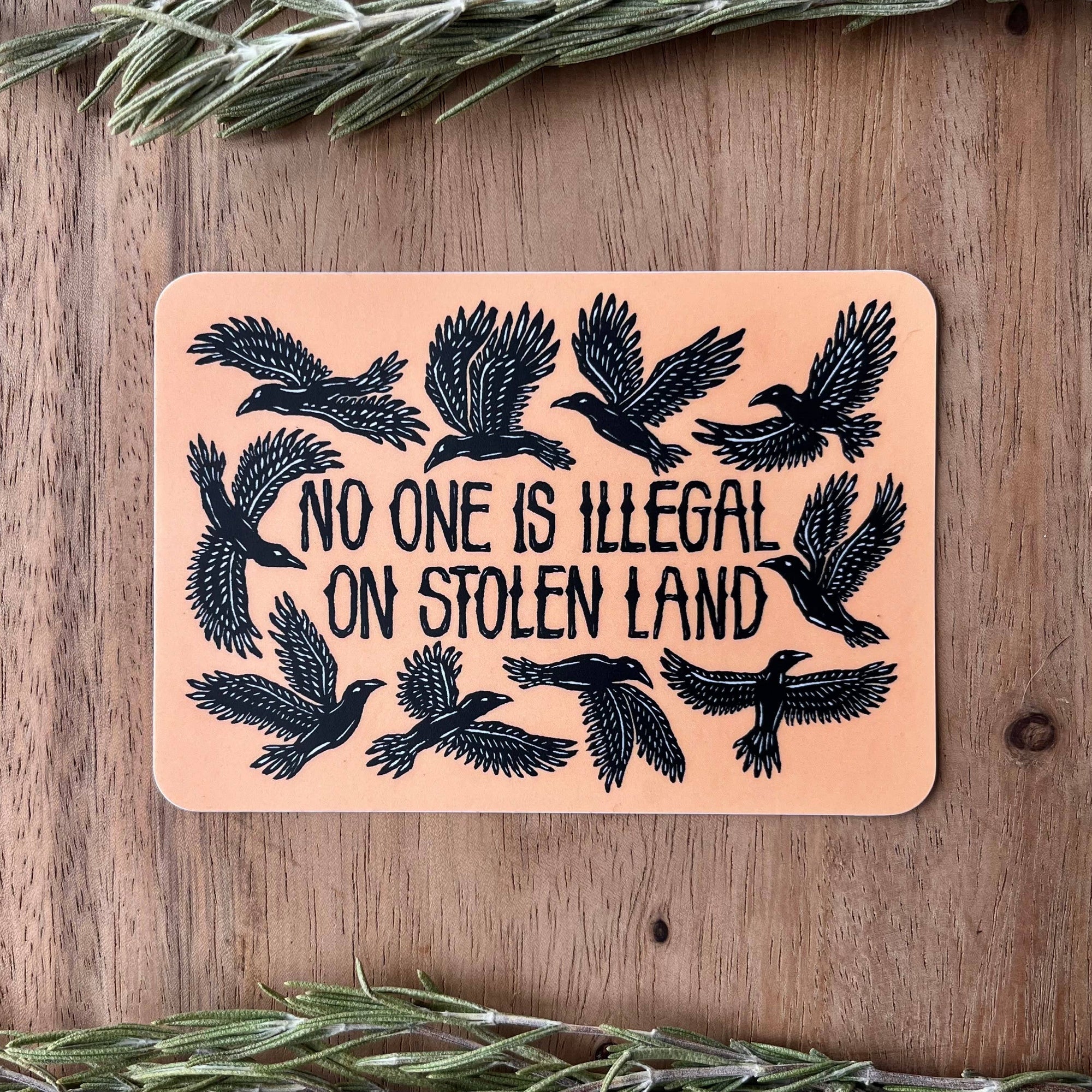 No One Is Illegal On Stolen Land Vinyl Sticker