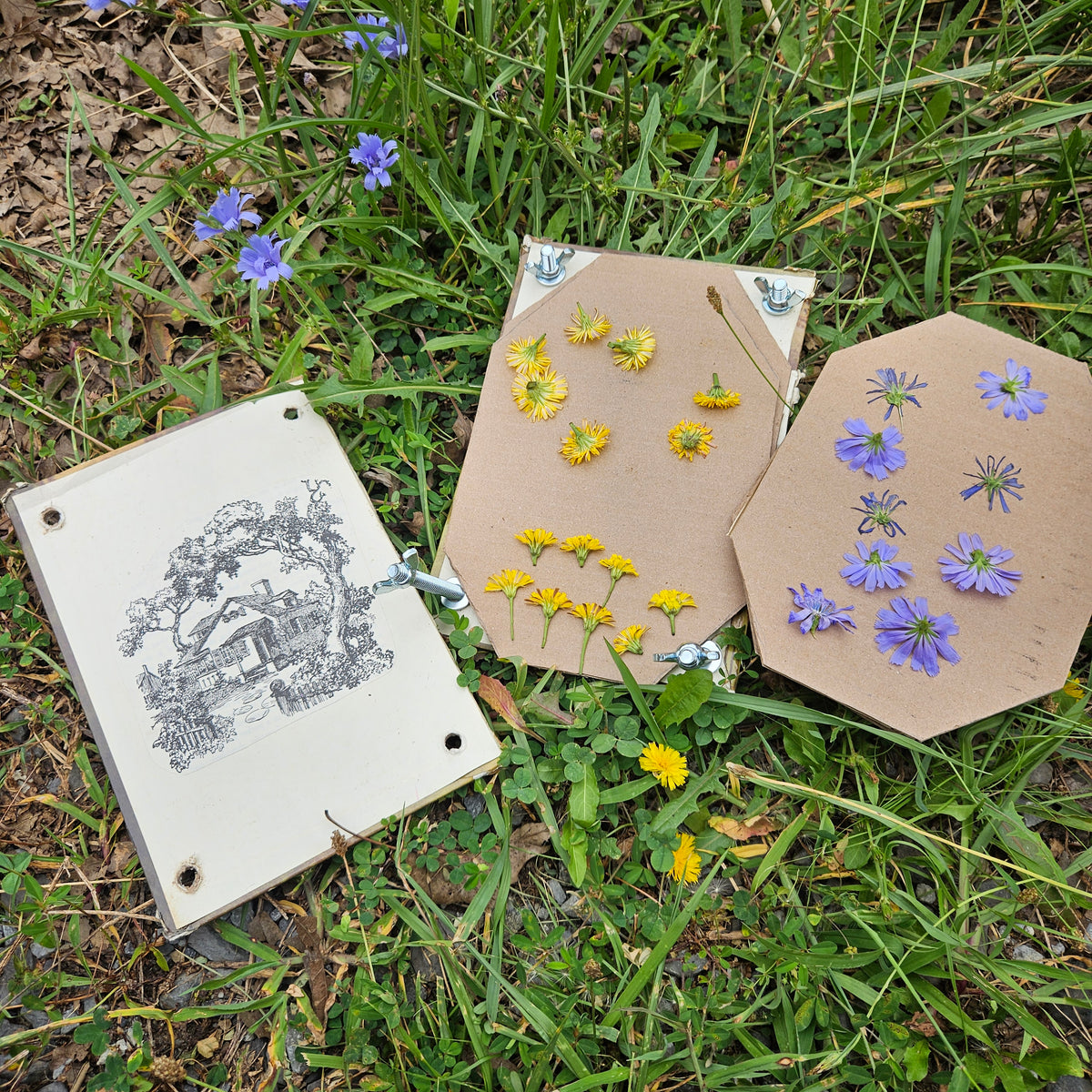 9/14 Rooted Creative Circle- Upcycled Flower Press