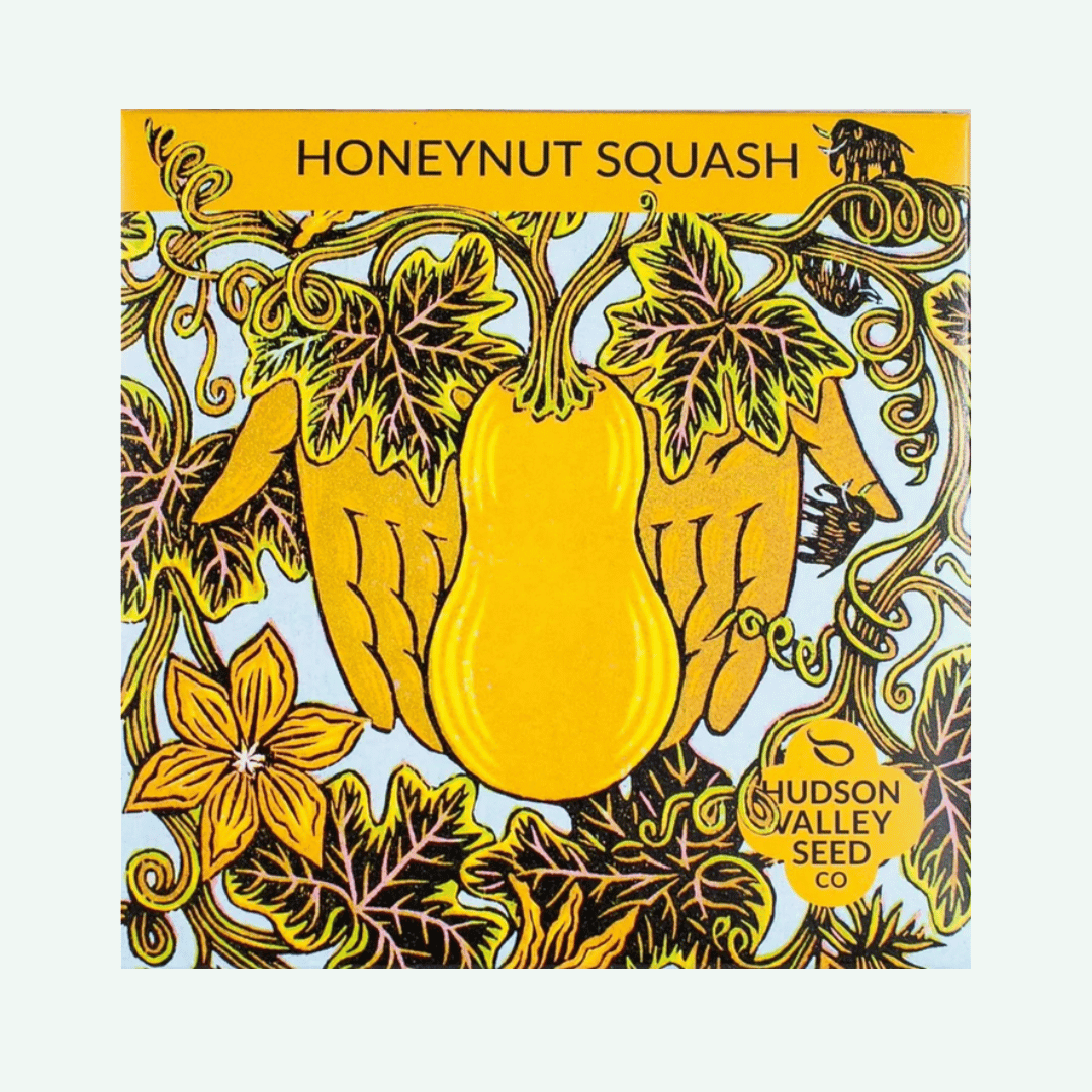 Honeynut Squash Seeds