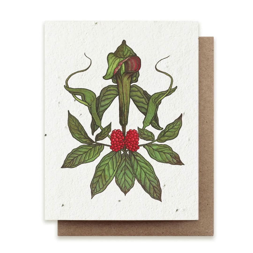Jack-In-The-Pulpit Plantable Wildflower Seed Card