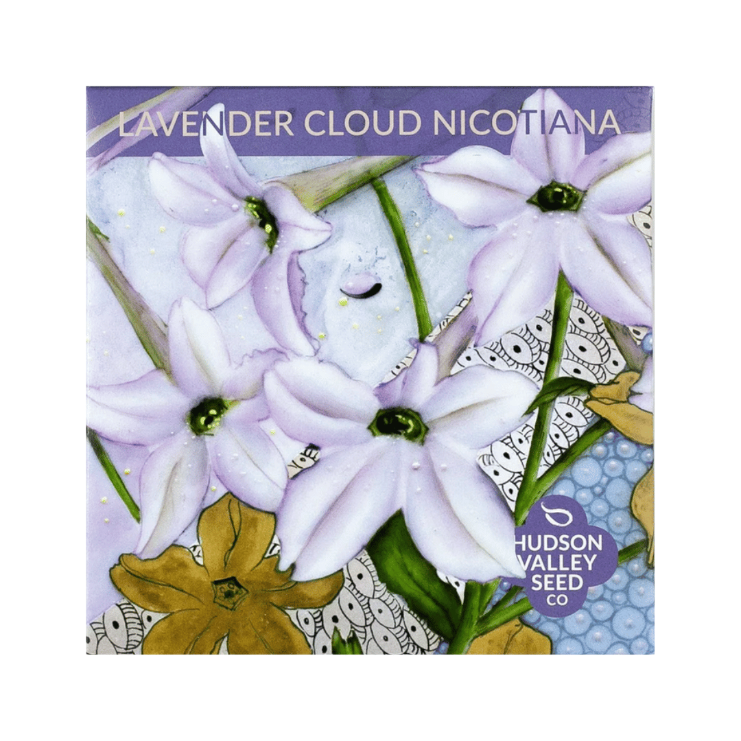 Lavender Cloud Nicotiana Seeds