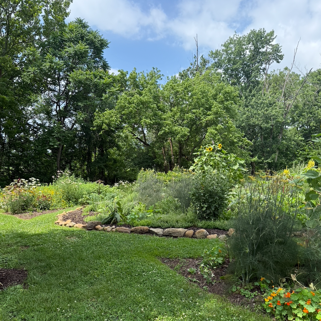 A lush green backyard garden with a grassy lawn, various plants, flowers, and a stone border leading to a dense tree line under a blue sky with white clouds.