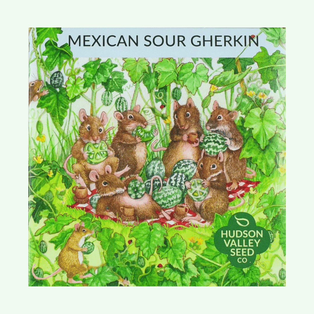 Mexican Sour Gherkin Seeds